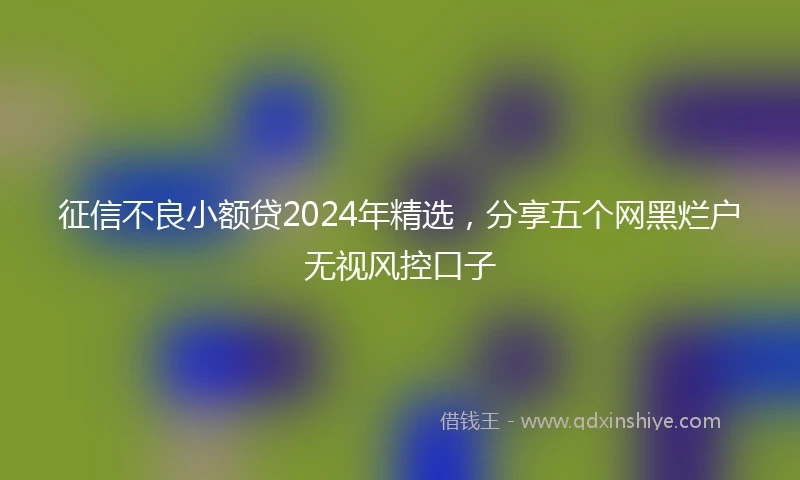 征信不良小额贷2024年精选，分享五个网黑烂户无视风控口子