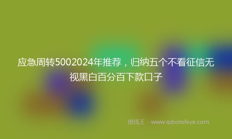 应急周转5002024年推荐，归纳五个不看征信无视黑白百分百下款口子