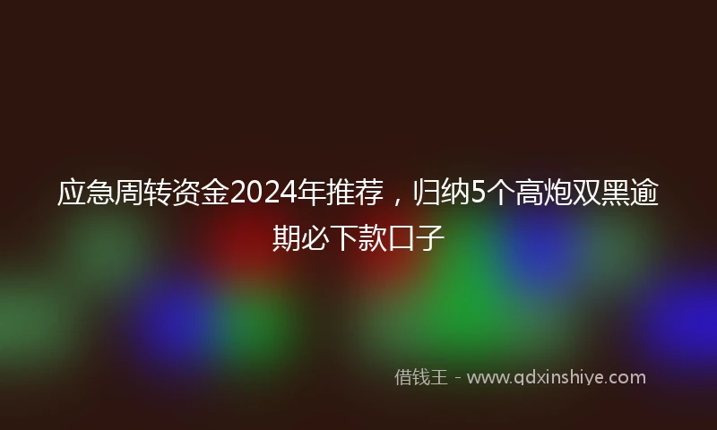 应急周转资金2024年推荐，归纳5个高炮双黑逾期必下款口子