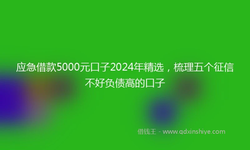 应急借款5000元口子2024年精选，梳理五个征信不好负债高的口子