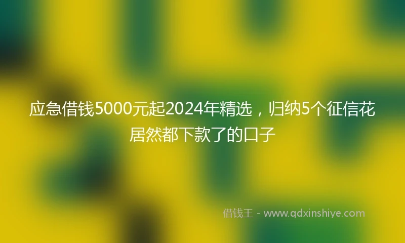 应急借钱5000元起2024年精选，归纳5个征信花居然都下款了的口子
