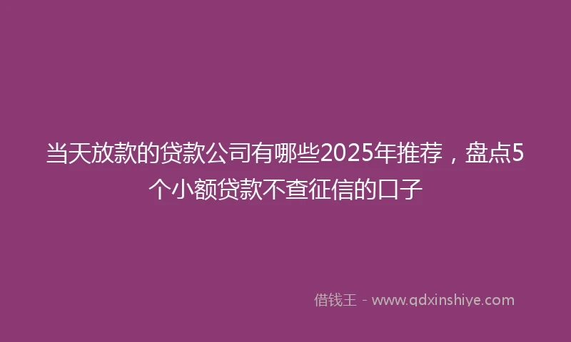 当天放款的贷款公司有哪些2025年推荐，盘点5个小额贷款不查征信的口子