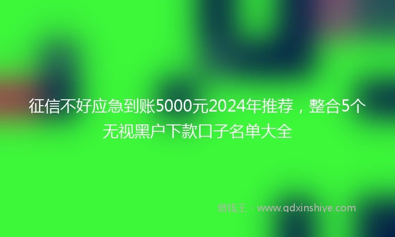 征信不好应急到账5000元2024年推荐，整合5个无视黑户下款口子名单大全