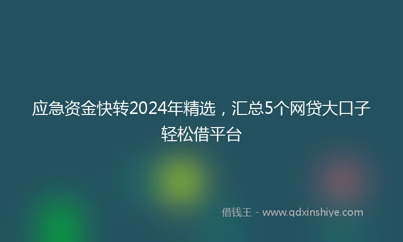应急资金快转2024年精选，汇总5个网贷大口子轻松借平台