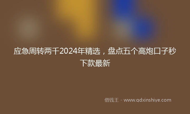 应急周转两千2024年精选，盘点五个高炮口子秒下款最新