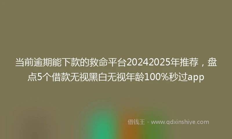 当前逾期能下款的救命平台20242025年推荐，盘点5个借款无视黑白无视年龄100%秒过app
