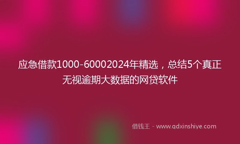 应急借款1000-60002024年精选，总结5个真正无视逾期大数据的网贷软件