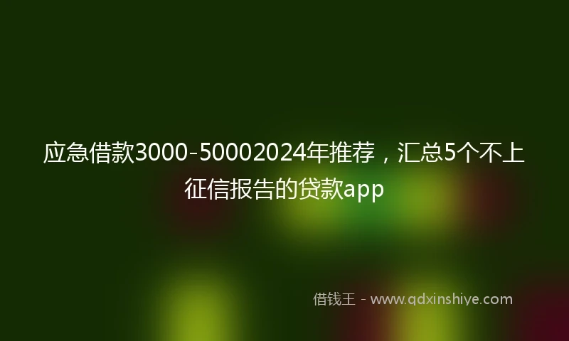 应急借款3000-50002024年推荐，汇总5个不上征信报告的贷款app