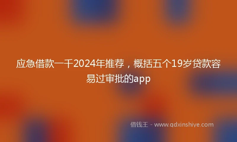应急借款一千2024年推荐，概括五个19岁贷款容易过审批的app