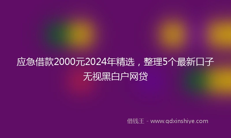 应急借款2000元2024年精选，整理5个最新口子无视黑白户网贷