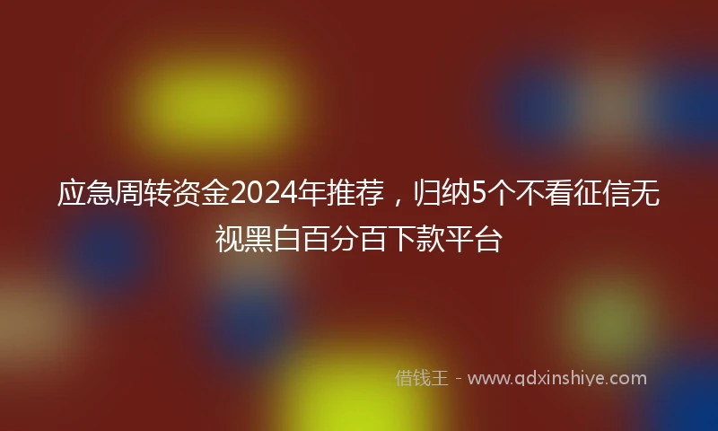 应急周转资金2024年推荐，归纳5个不看征信无视黑白百分百下款平台