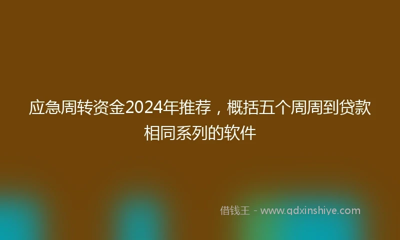 应急周转资金2024年推荐，概括五个周周到贷款相同系列的软件