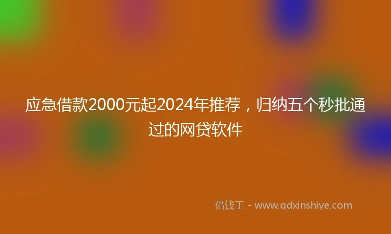 应急借款2000元起2024年推荐，归纳五个秒批通过的网贷软件