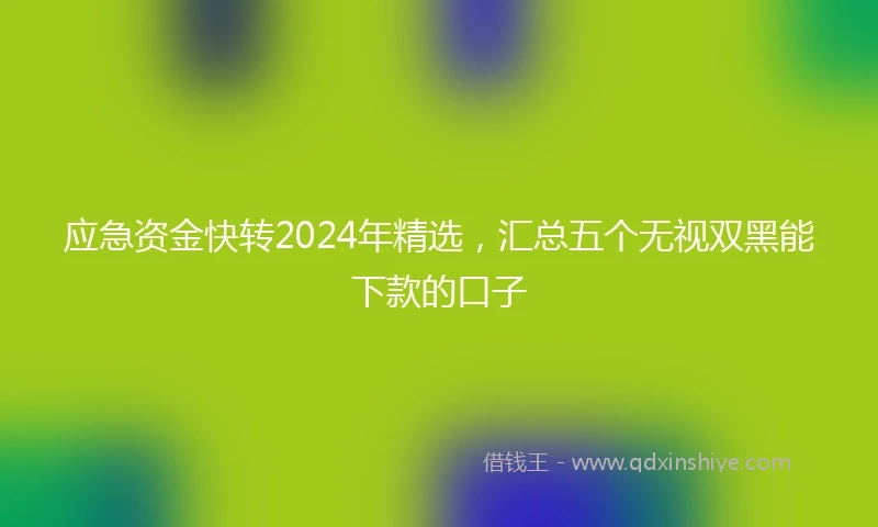 应急资金快转2024年精选，汇总五个无视双黑能下款的口子