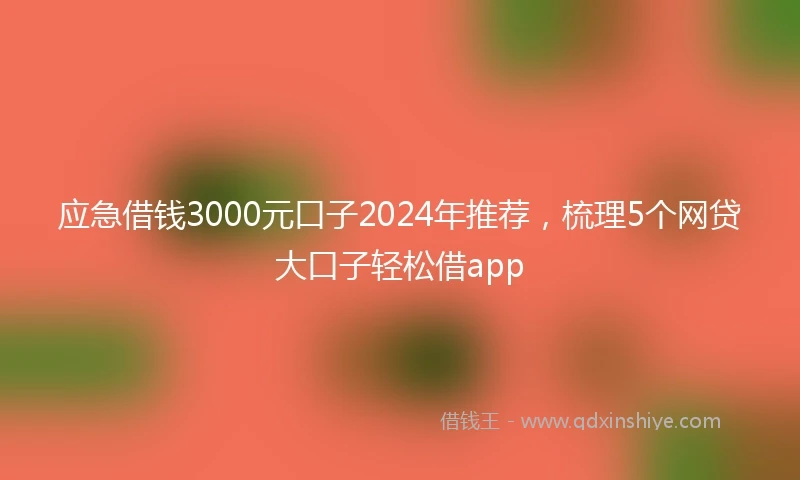 应急借钱3000元口子2024年推荐，梳理5个网贷大口子轻松借app