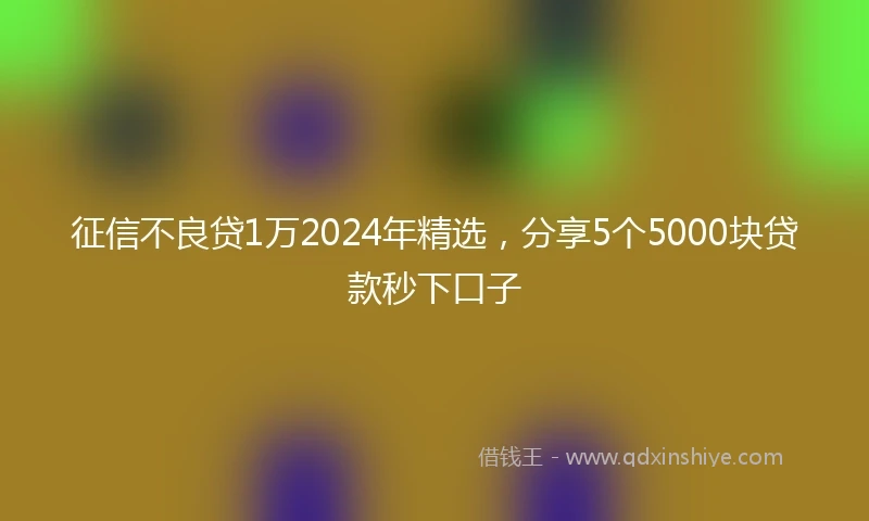征信不良贷1万2024年精选，分享5个5000块贷款秒下口子