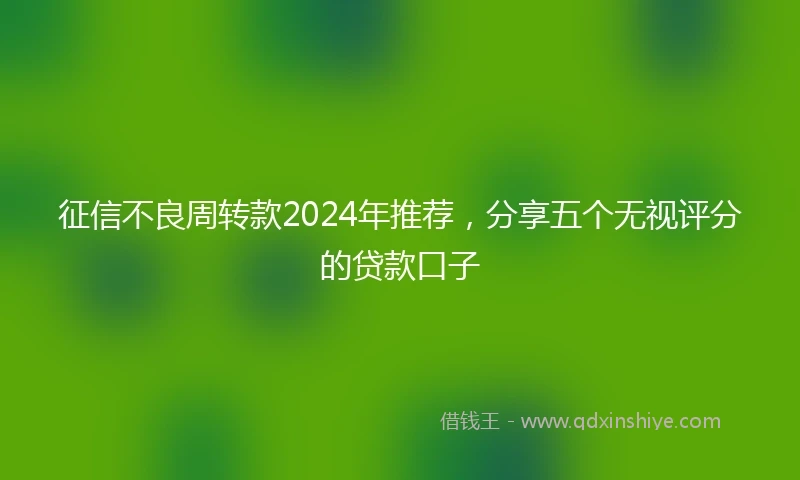 征信不良周转款2024年推荐，分享五个无视评分的贷款口子