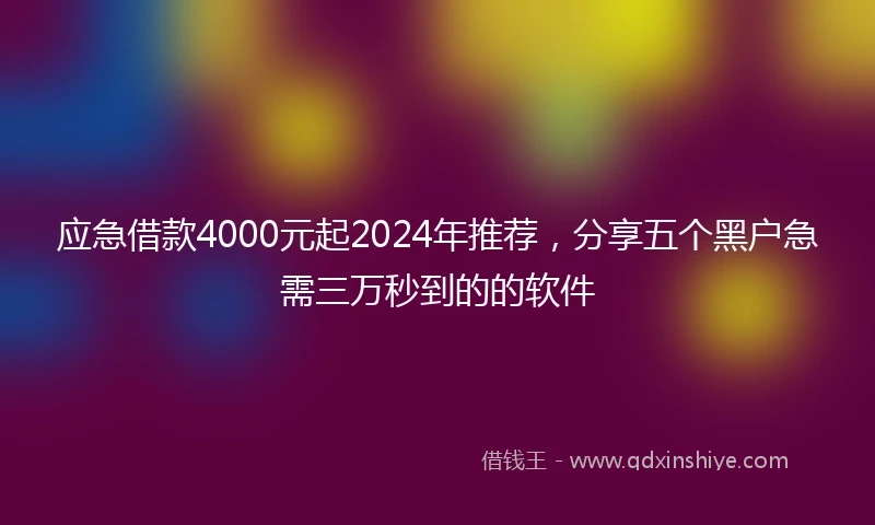 应急借款4000元起2024年推荐，分享五个黑户急需三万秒到的的软件