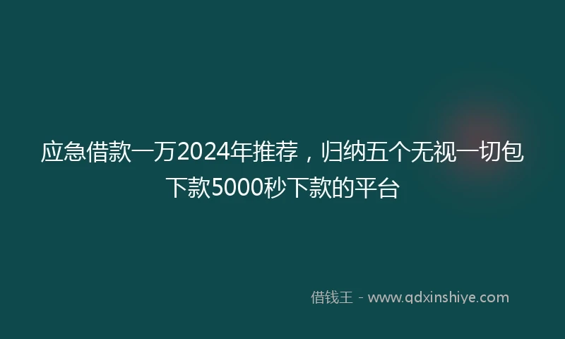 应急借款一万2024年推荐，归纳五个无视一切包下款5000秒下款的平台