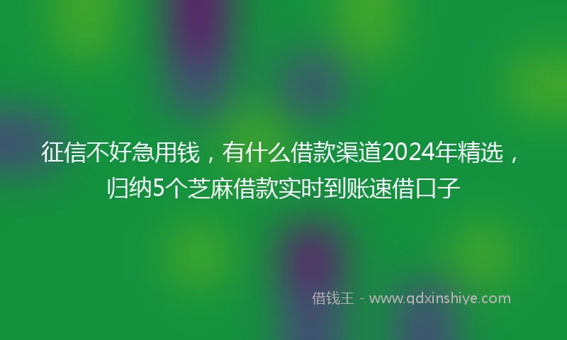 征信不好急用钱，有什么借款渠道2024年精选，归纳5个芝麻借款实时到账速借口子