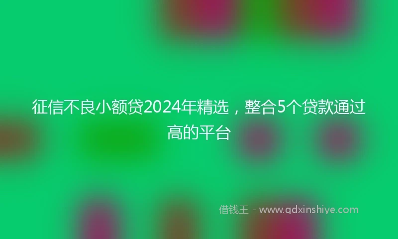 征信不良小额贷2024年精选，整合5个贷款通过高的平台