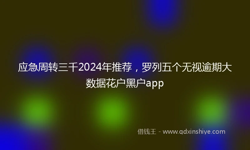 应急周转三千2024年推荐，罗列五个无视逾期大数据花户黑户app