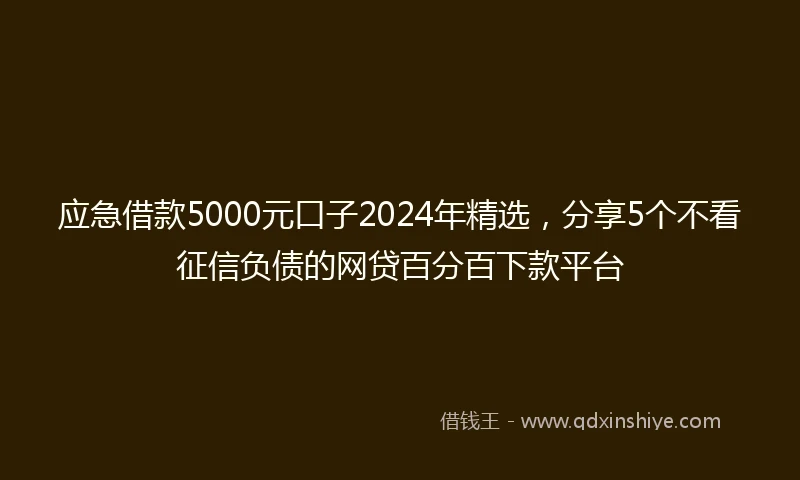 应急借款5000元口子2024年精选，分享5个不看征信负债的网贷百分百下款平台
