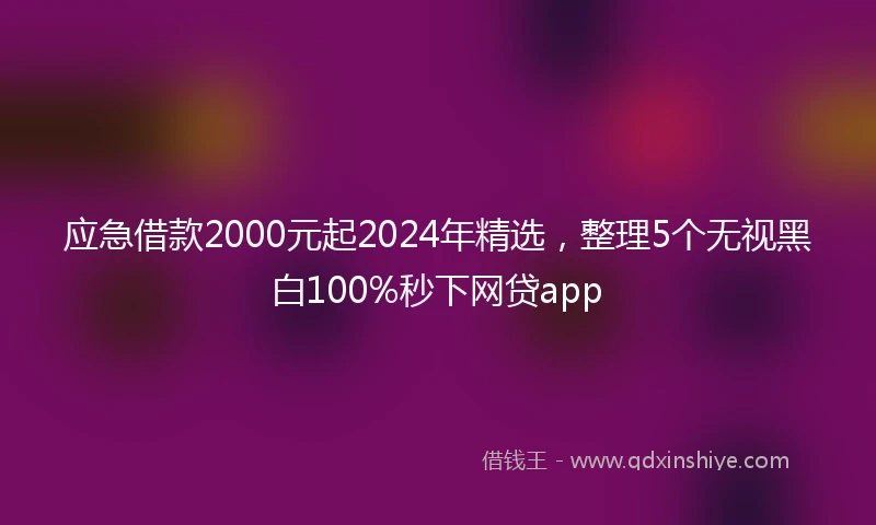 应急借款2000元起2024年精选，整理5个无视黑白100%秒下网贷app