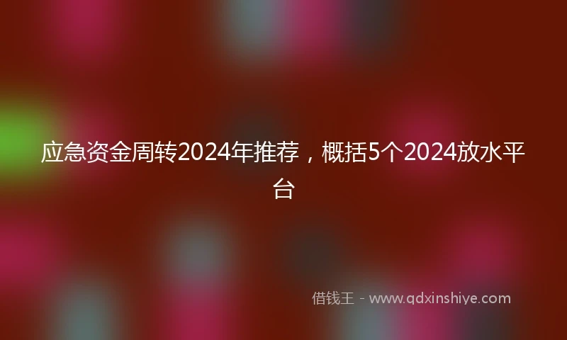 应急资金周转2024年推荐，概括5个2024放水平台