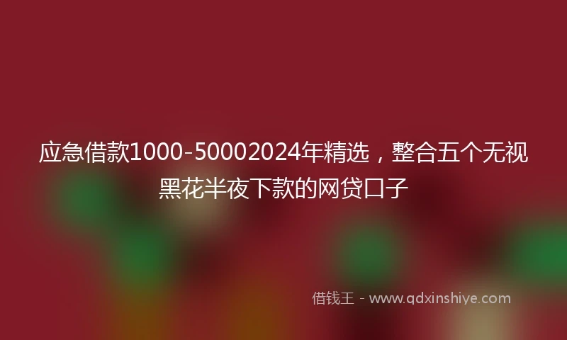 应急借款1000-50002024年精选，整合五个无视黑花半夜下款的网贷口子