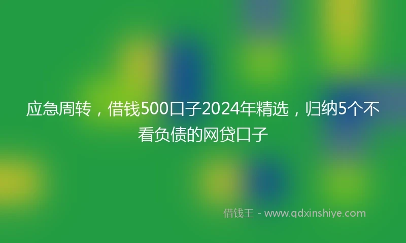 应急周转，借钱500口子2024年精选，归纳5个不看负债的网贷口子