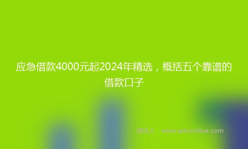 应急借款4000元起2024年精选，概括五个靠谱的借款口子