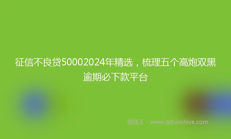 征信不良贷50002024年精选，梳理五个高炮双黑逾期必下款平台