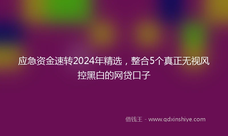 应急资金速转2024年精选，整合5个真正无视风控黑白的网贷口子