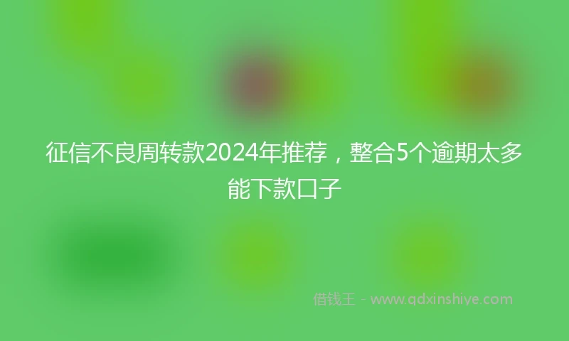 征信不良周转款2024年推荐，整合5个逾期太多能下款口子