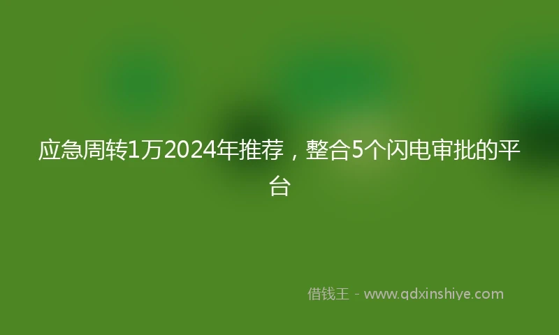 应急周转1万2024年推荐，整合5个闪电审批的平台