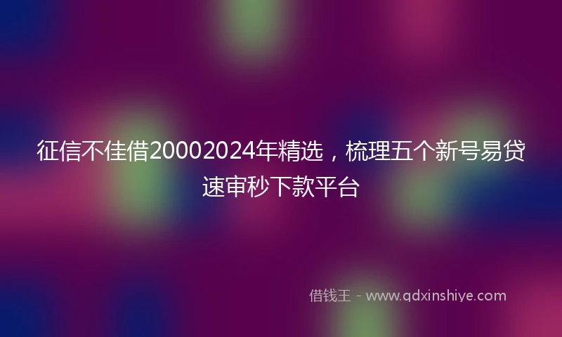征信不佳借20002024年精选，梳理五个新号易贷速审秒下款平台