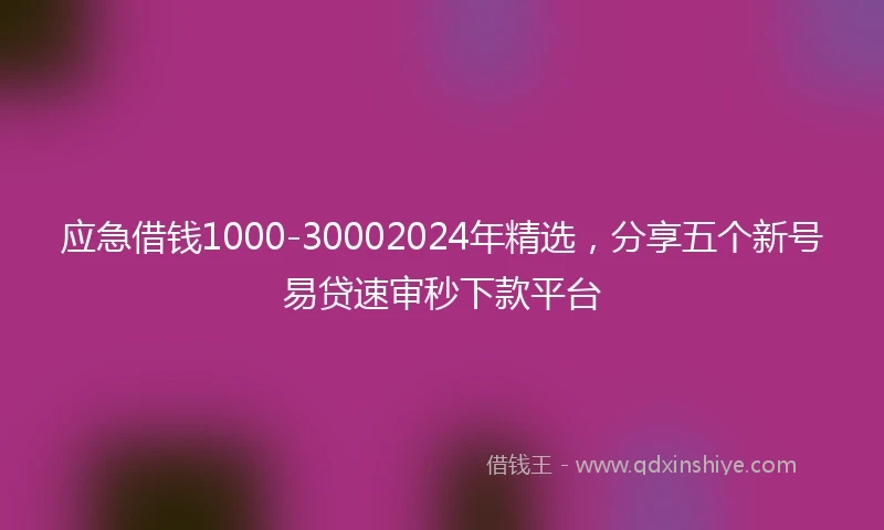 应急借钱1000-30002024年精选，分享五个新号易贷速审秒下款平台