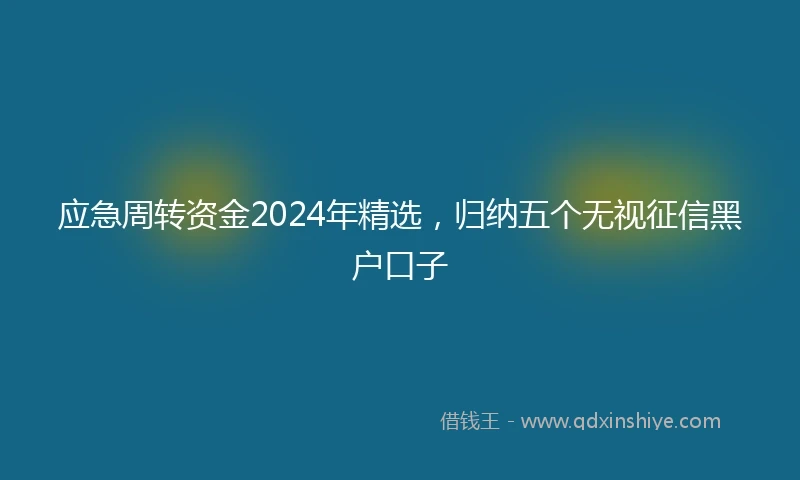 应急周转资金2024年精选，归纳五个无视征信黑户口子
