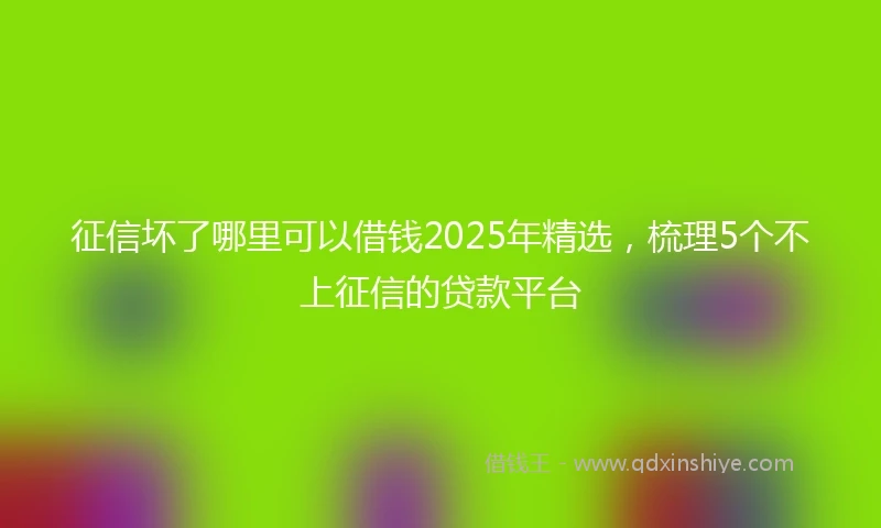 征信坏了哪里可以借钱2025年精选，梳理5个不上征信的贷款平台