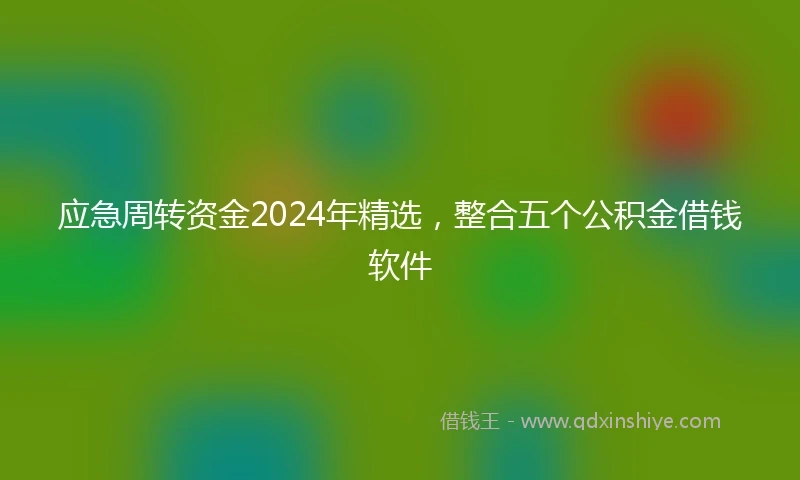 应急周转资金2024年精选，整合五个公积金借钱软件
