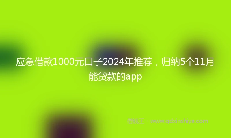 应急借款1000元口子2024年推荐，归纳5个11月能贷款的app