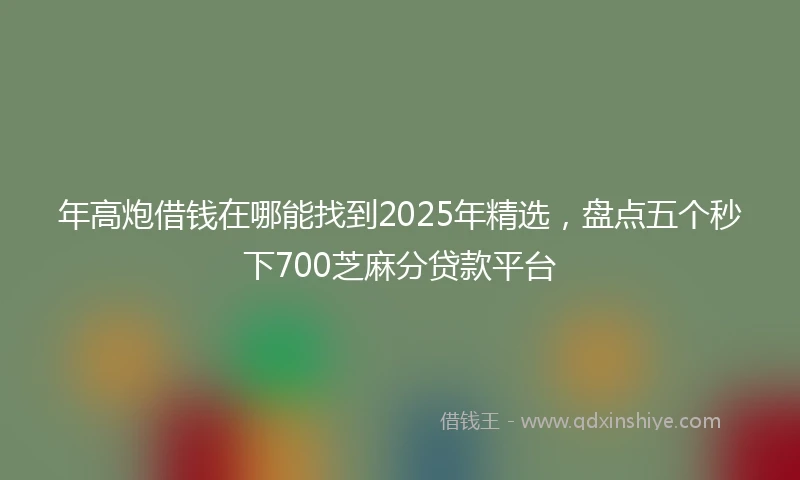 年高炮借钱在哪能找到2025年精选，盘点五个秒下700芝麻分贷款平台