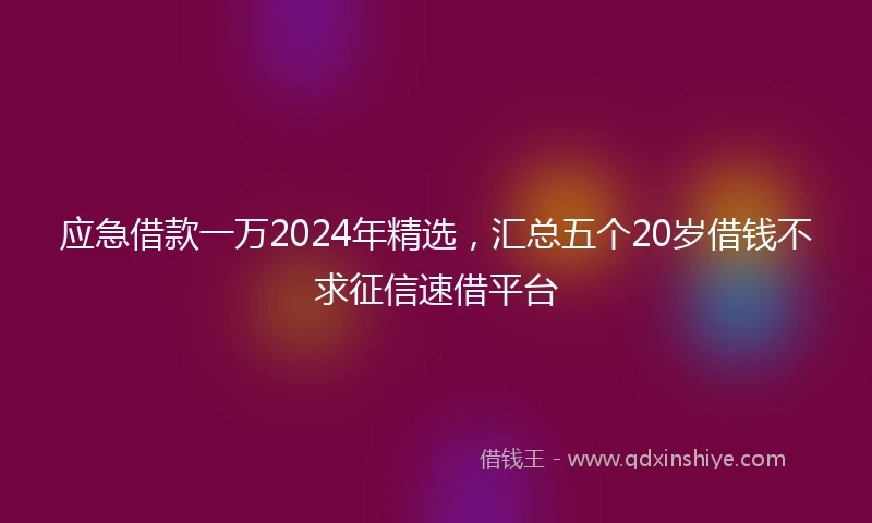应急借款一万2024年精选，汇总五个20岁借钱不求征信速借平台