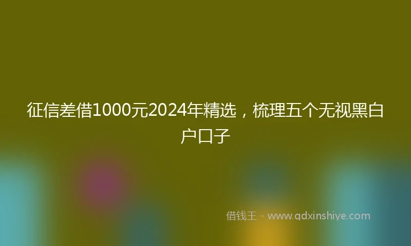 征信差借1000元2024年精选，梳理五个无视黑白户口子