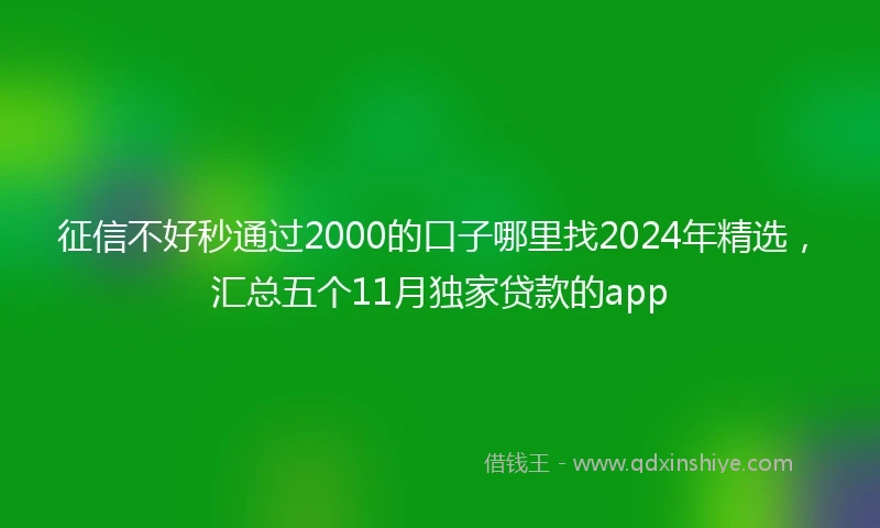 征信不好秒通过2000的口子哪里找2024年精选，汇总五个11月独家贷款的app
