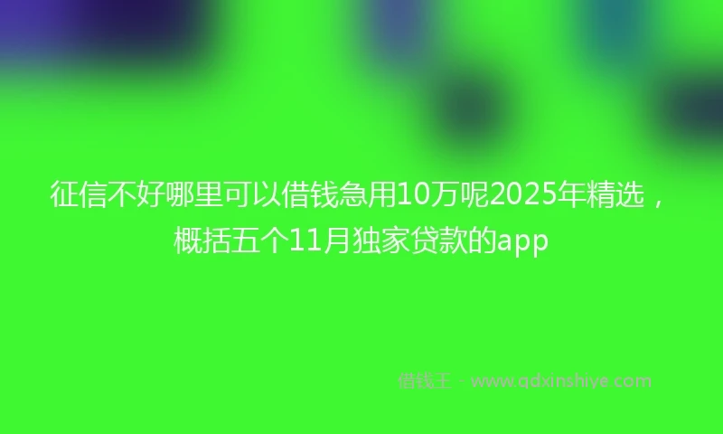 征信不好哪里可以借钱急用10万呢2025年精选，概括五个11月独家贷款的app