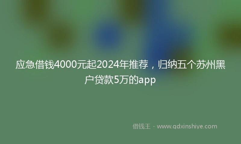 应急借钱4000元起2024年推荐，归纳五个苏州黑户贷款5万的app