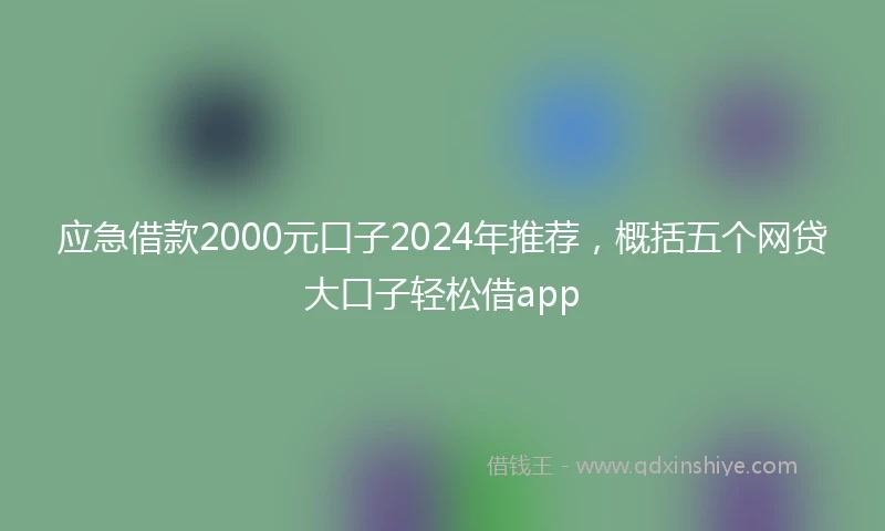 应急借款2000元口子2024年推荐，概括五个网贷大口子轻松借app