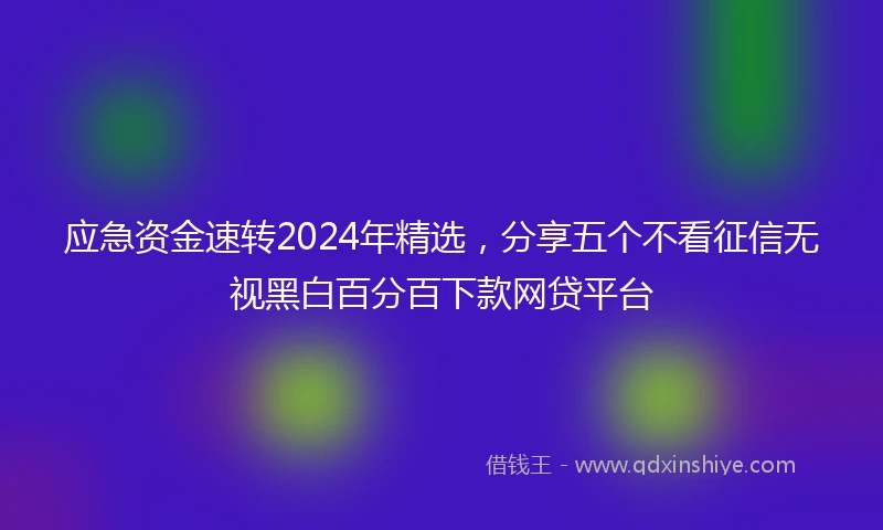 应急资金速转2024年精选，分享五个不看征信无视黑白百分百下款网贷平台